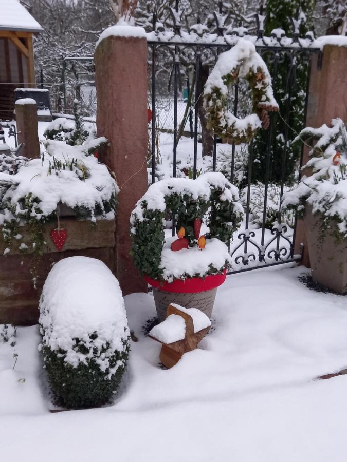 L'Alcove Des P'Tits Coeurs Villa Benfeld Bagian luar foto